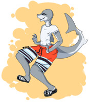 Surfer Shark