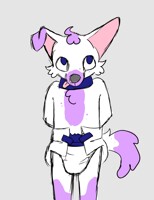 Diapered Doggie