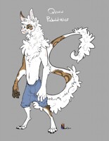 Quinn - WIP