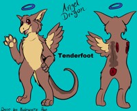 Tenderfoot The Angel Dragon (ADOPTED)