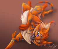 Nazari - Get Comfy and Cute