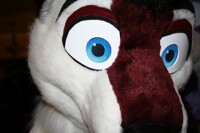 I Seeeeee you!
