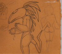 -+Cardboard Scraps - Bird Merchant 1