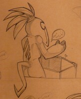 -+Cardboard Scraps - Bird Merchant 2