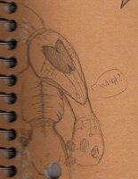 -+Cardboard Scraps - Bird Merchant 3