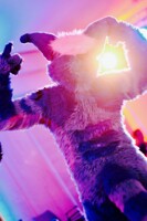 Paws on Fire 2016
