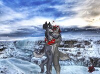 Friendly hug in Snow