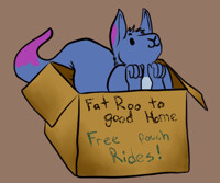 Box Roo for youuuu~