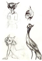 Goats, cranes, cats