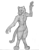 Panther