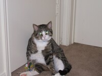 Max
