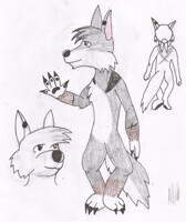 Early Awkore Concept