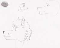 Awkore WIP