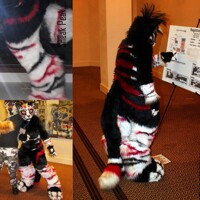 Bodysuit, tail, and more