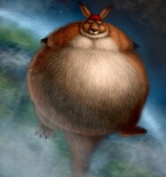 Ozkangaroo very uplifting birthday