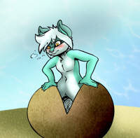 [COMM] - Coconut