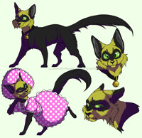 Actual Cat Chat Noir