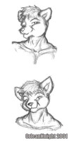 Practice Portraits