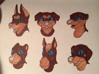 Fursuit Head Designs!