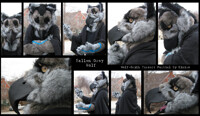 FallenGreyWolf's Finished Partial