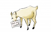 Llama