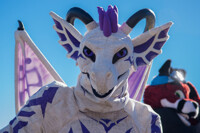 the dragon Lumio Draco