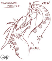 Swallowing Practice