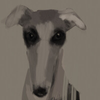 greyhound study