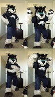 Fursuit "photoshoot" (casual attire)