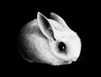 Look him snowpea bunny.