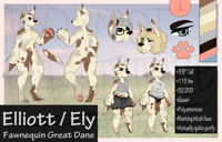 [C] Custom Character Commission