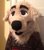 Golden Retriever fursuit + SALE INFO