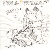 Munkart - Napkin Art - Full Tummy