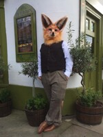 Pesky corner Pendrell