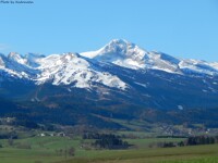 La Grande Moucherolle