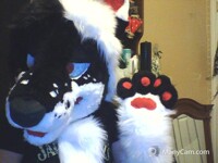Happy Fursuit Friday <3
