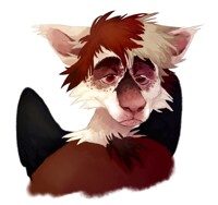unused redesign