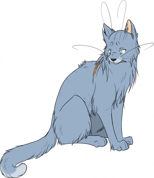 Blue Star - Warrior Cats by snhoot -- Fur Affinity [dot] net