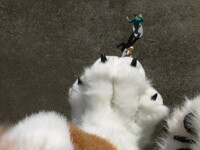 Pawstomping
