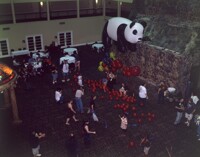 Panda in the garden court
