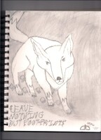 Leave nothing but foot-prints