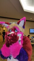 Anthrocon 2015 Pic 012