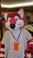 Anthrocon 2015 Pic 016