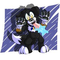 Ed the Border Collie