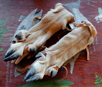 Deer Legskin Bracers