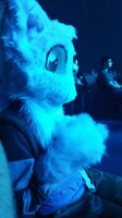 Fursuit