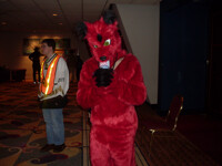 The Red Wolf