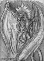 The Feather Dragon 2003