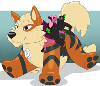 Pool toy
