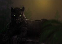 Hidden gem of the jungle